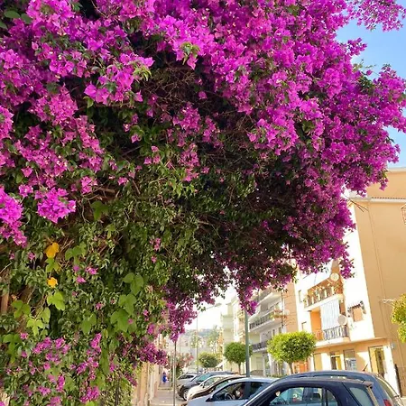 Apartment Scalea *